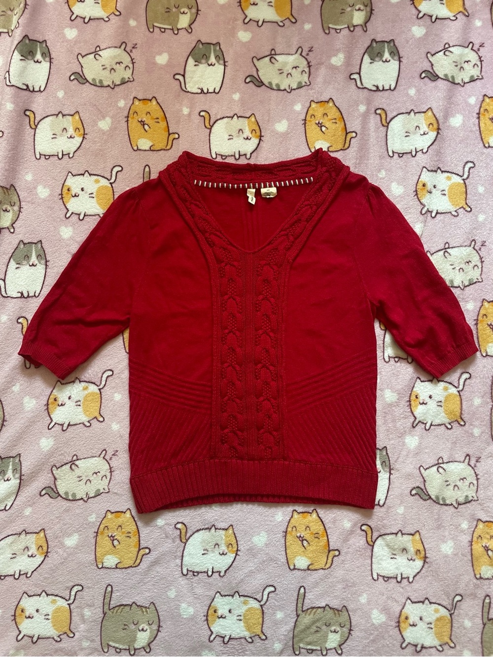 Moth Sweater Top